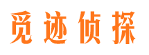 东海岛找人公司